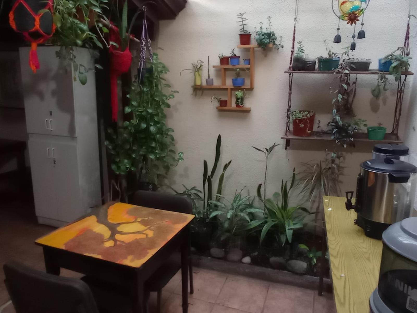 סן חוזה Hostel Casa Ridgway מראה חיצוני תמונה