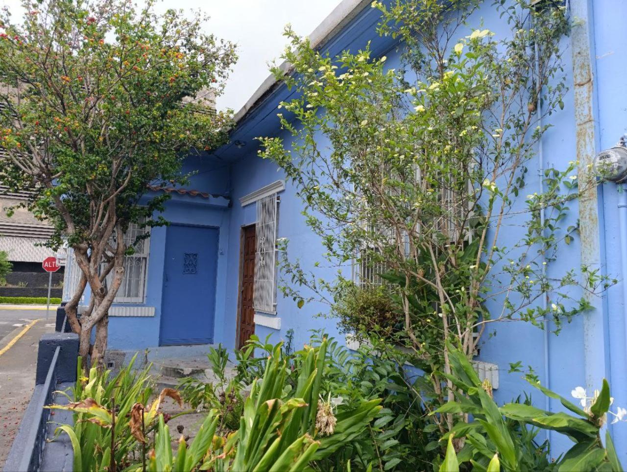 סן חוזה Hostel Casa Ridgway מראה חיצוני תמונה